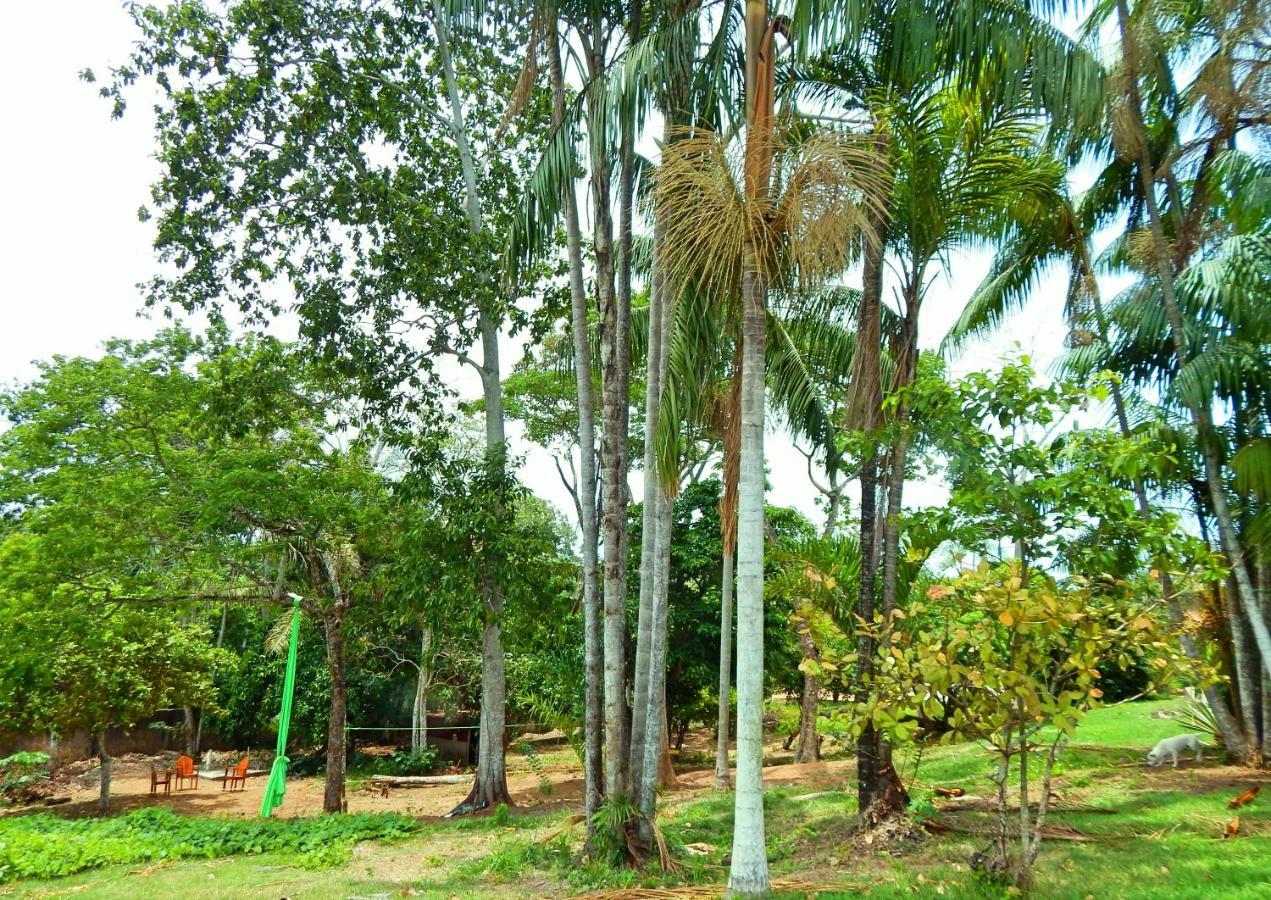 Jardins Guesthouse Rio Branco Buitenkant foto